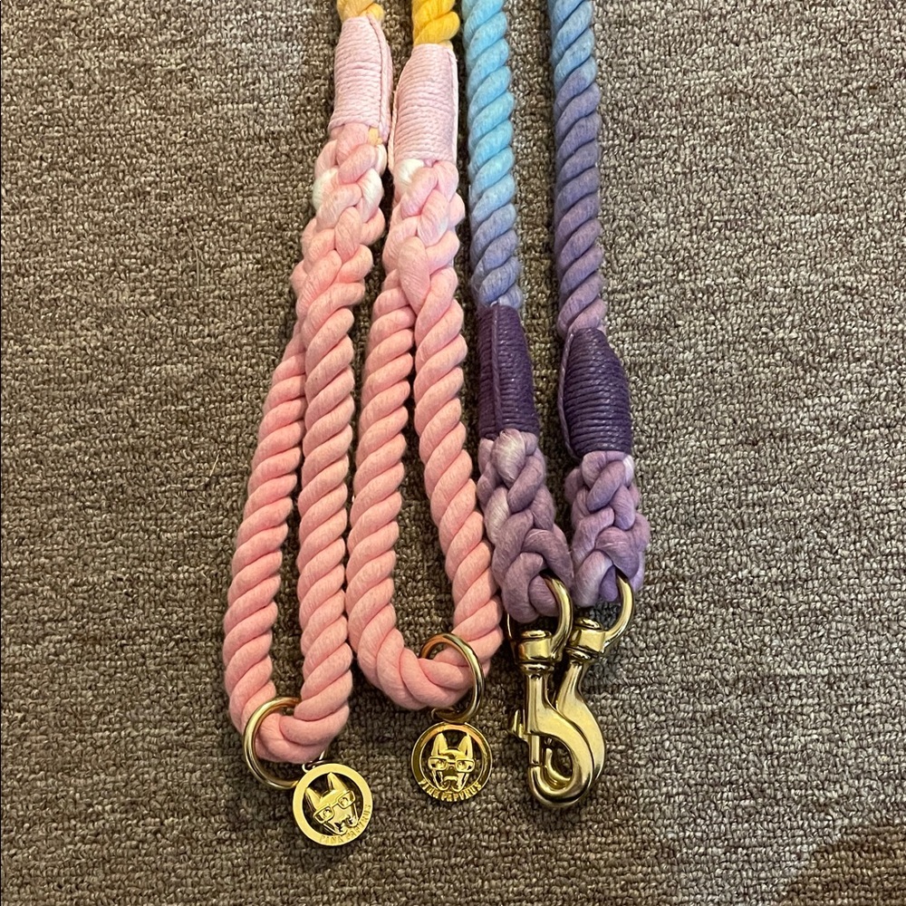 Vibrant Multicolor Dog Leash****ONLY 1, PLEASE SEE NOTE BELOW**** - Picture 4 of 5
